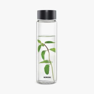 BOROSIL Neo Glass Bottle 550 Ml + Vision Med (Thermocol)