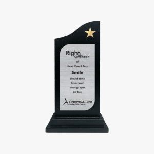 Trophy 13