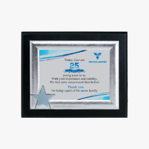 Trophy 24